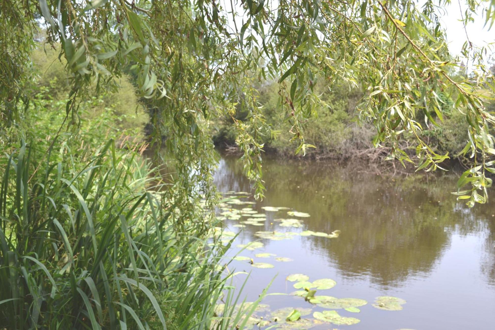Les Bruyeres Gite Montbron Ngoại thất bức ảnh